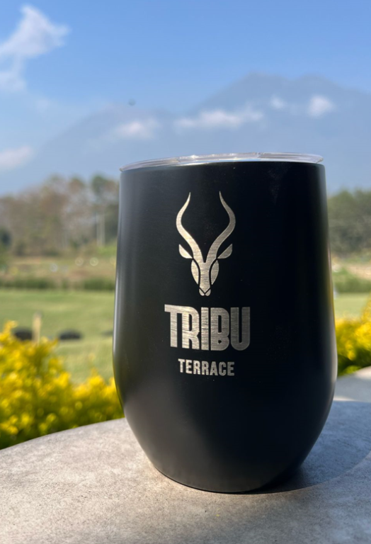 Tumbler 12oz. (Mug)